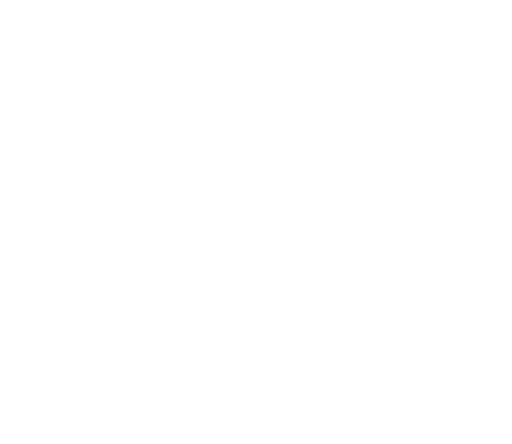 Bovine Pericardium